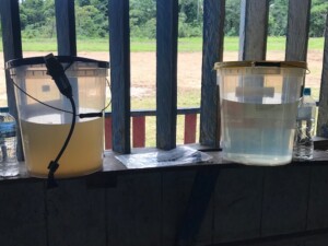 Two buckets on a ledge: one contains murky water, and the other has clear water, illustrating water quality comparison in a rural setting.